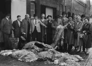 Abattoir inspection was part of Bolton councillor's duties