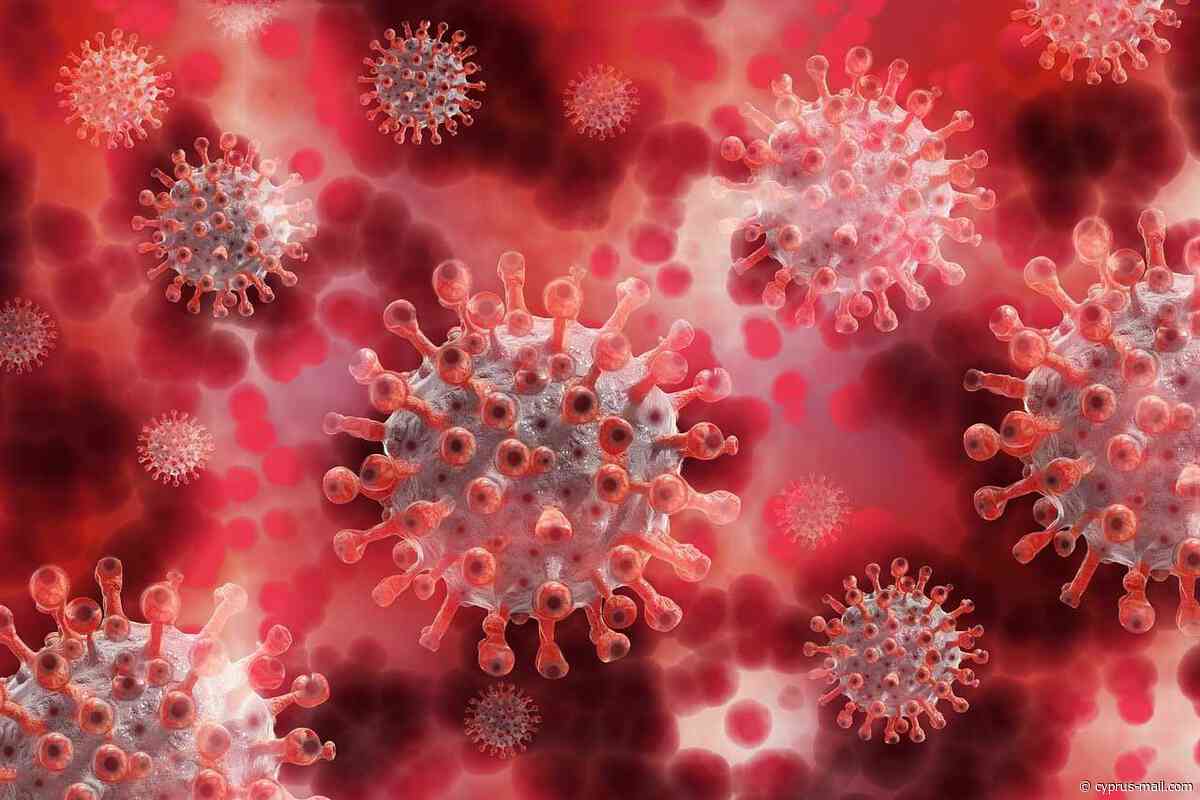 Coronavirus: No new deaths as 29 cases recorded (updated ...