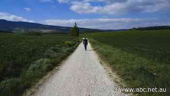 The 'El Camino' trail is helping Spanish pilgrims deal with COVID stress