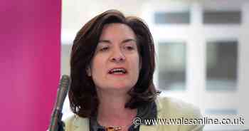 The question is how big the coronavirus third wave will be, says Wales' health minister Eluned Morgan - Wales Online