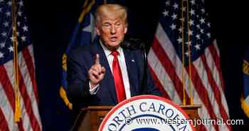 Trump Throws Support Behind Reparations, But Not for Whom You'd Expect