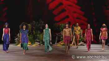 'Black cladding' under fire as Indigenous designers seek ownership of their work