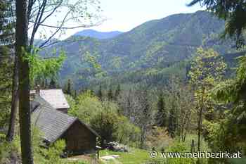 Wandern im Raxgebiet: Entlang dem rauschenden Rettenbach - meinbezirk.at