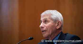 After Damning Emails Released, Dr. Fauci's Credibility is 'Entirely Shot' Says Disease Expert