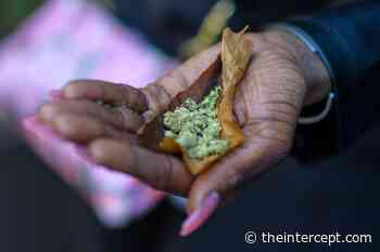 Rhode Island Coalition Pushes Equitable Cannabis Regulations - The Intercept
