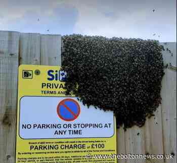 Bees in Horwich cause amusement with sign rest spot