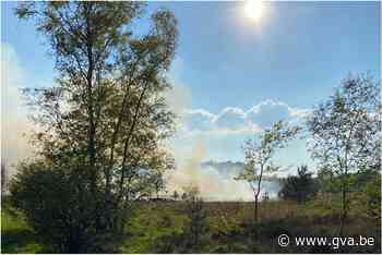 Hectare afgebrand op Kalmthoutse Heide: “Nooit paniek” - Gazet van Antwerpen