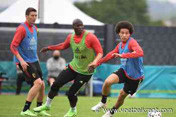 Geen enkele twijfel meer: &quot;Witsel zit bij de 26 voor het EK&quot;