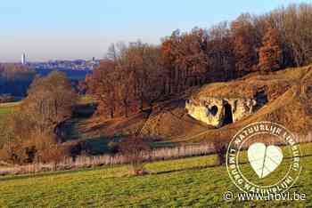 Limburgse Wandelchallenge: langs de mergelgroeves van Riemst - Het Belang van Limburg