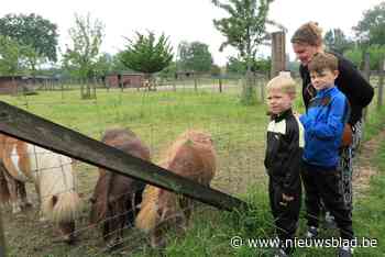 Bezoek aan de dieren van ’t Gulderijtje is niet langer gratis: “Klein vandalisme levert veel extra werk en kosten op”