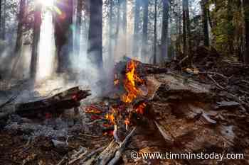 Forest fire near Timmins under control - TimminsToday