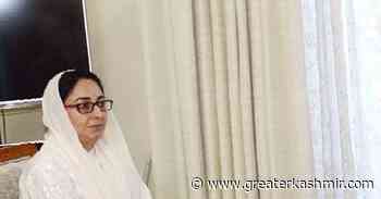 Forest loot increased manifold during pandemic: Darakhshan Andrabi - Greater Kashmir