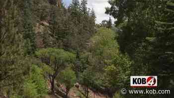 Jemez-area ranch purchase to expand Santa Fe National Forest - KOB