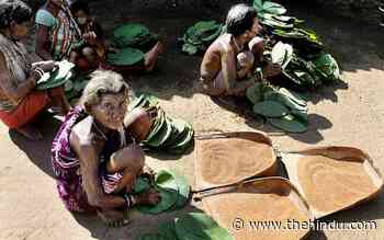Odisha’s forest produce gatherers hit hard - The Hindu