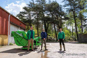 DPD Eco Fund helps restore vital habitats in Wareham Forest - Tamebay