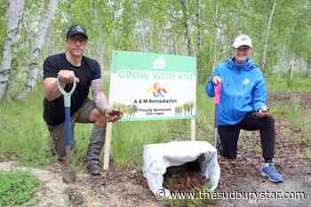 Kivi Park diversifies forest with donation of more than 10,000 trees - The Sudbury Star