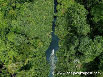 World environment day: RER Seven Years of successfully safeguarding restored forest - Jakarta Post
