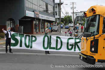 B.C.’s forest policies unsatisfying to old-growth logging protesters in Nanaimo - Nanaimo Bulletin