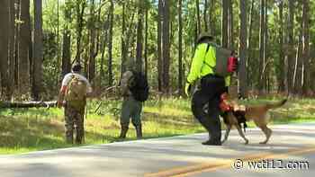 Sheriff discusses calling off forest search in "bizarre" missing person case - WCTI12.com