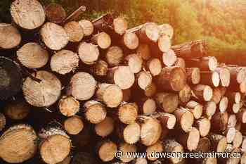 Opinion: Forest industry in for big changes, including much bigger role for First Nations - Dawson Creek Mirror