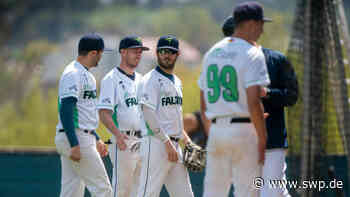 Baseball: Falcons Ulm mit Spannung bis zum Schluss - SWP
