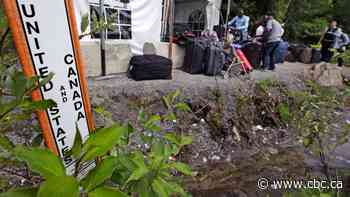 Pandemic likely to drive a surge in immigration fraud, border agency warns