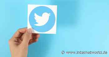 Bequeme Bubble: Wohin geht Twitters Reise?