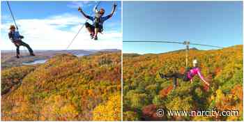 Ziplining Near Ottawa Over The Trees At Ziptrek Ecotours In Mont Tremblant - Narcity