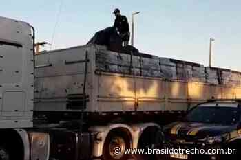 Caminhoneiro é preso flagrado com arma de fogo em Morrinhos - Brasil do Trecho - Site dos caminhoneiros