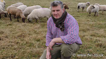 Farmer victim of livestock dog attack given Highland cows