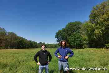 Dan toch Aartselaarse zomerbar op weide van boer Cornelis