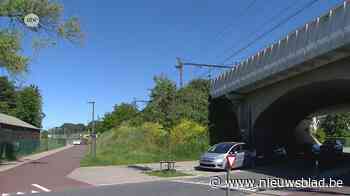 Hondenschool staat na 3 decennia plots op straat: “We zijn er kapot van”