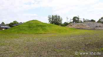Tornesch: Am Lüttensee soll ein Park mit Aussichtspunkt entstehen | shz.de - shz.de