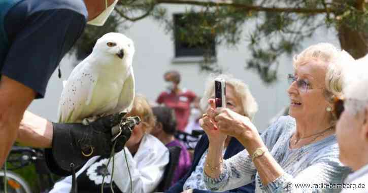Greifvögel zu Besuch im Seniorenheim