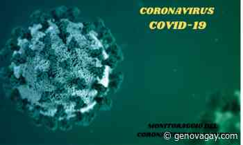 Veicoli aerei senza pilota ad ala fissa Analisi e ricerche di mercato globali del settore 2021-2030 CORONAVIRUS - Genovagay - Genova Gay