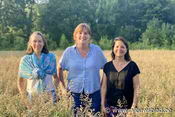 Openluchttentoonstelling in Frijthout biedt licht en troost