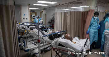 Book Review: ‘The Plague Year,’ by Lawrence Wright