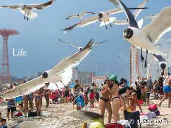 Somesuch directors helmed some of 2021's most remarkable ads