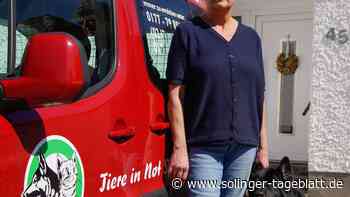 Seit 25 Jahren hilft Solinger Verein Tieren in Not