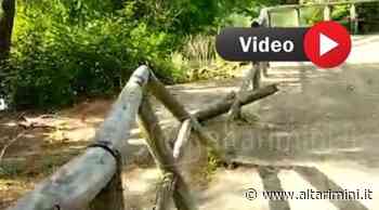 Parco della Cava, erba alta e zero manutenzione: la segnalazione - AltaRimini