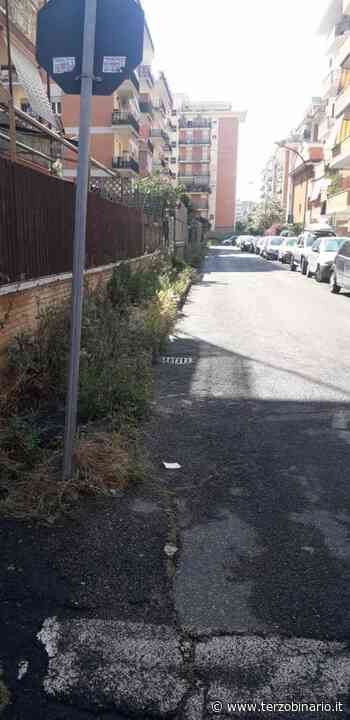 Loddo: "Segnaletica orizzontale assente ed erba alta a Ladispoli" - Terzo Binario News - TerzoBinario.it