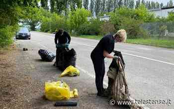 Microplastiche negli sfalci d'erba, allarme del Gruppo Difesa Ambientale Estense – VIDEO - Telestense
