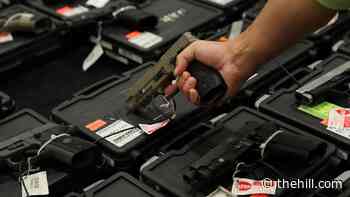 Justice Department announces new steps to reduce gun violence