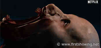 Vampire on a Plane! First Teaser Trailer for 'Blood Red Sky' Horror