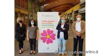 Pavullo raggiunge il record di iniezioni "In tanti sono arrivati da Modena e Sassuolo" - il Resto del Carlino