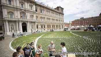 Modena in fiore, Parva Naturalia e Cefa Onlus: che weekend in centro - La Gazzetta di Modena