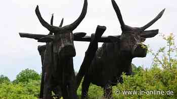 Tourismus in Spree-Neiße: Wie die Spreeaue bei Dissen von neuen Ideen profitieren kann - Lausitzer Rundschau
