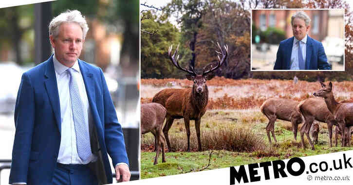 Tory MP fined as puppy causes 200 deer to stampede in Richmond Park