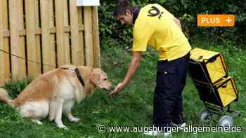 Wenn Bello zubeißt: So werden Hunde und Zusteller doch noch Freunde - Augsburger Allgemeine