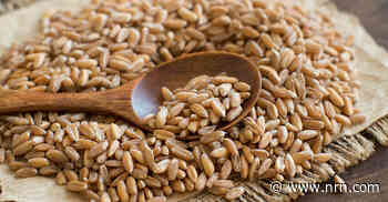 Flavor of the Week: Farro, the trendy ancient grain